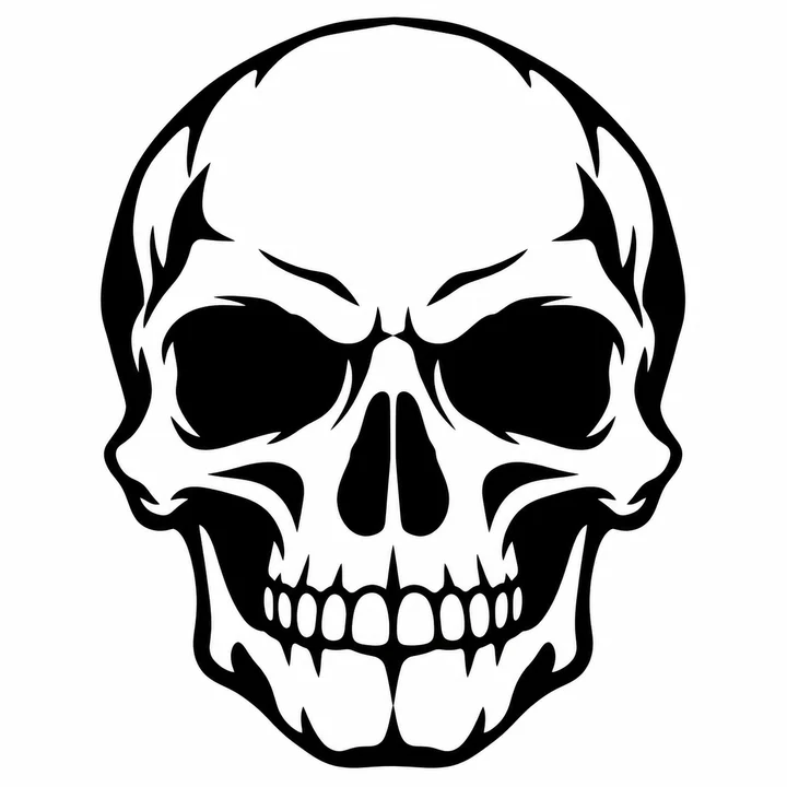 Graphic skull black and white stencil